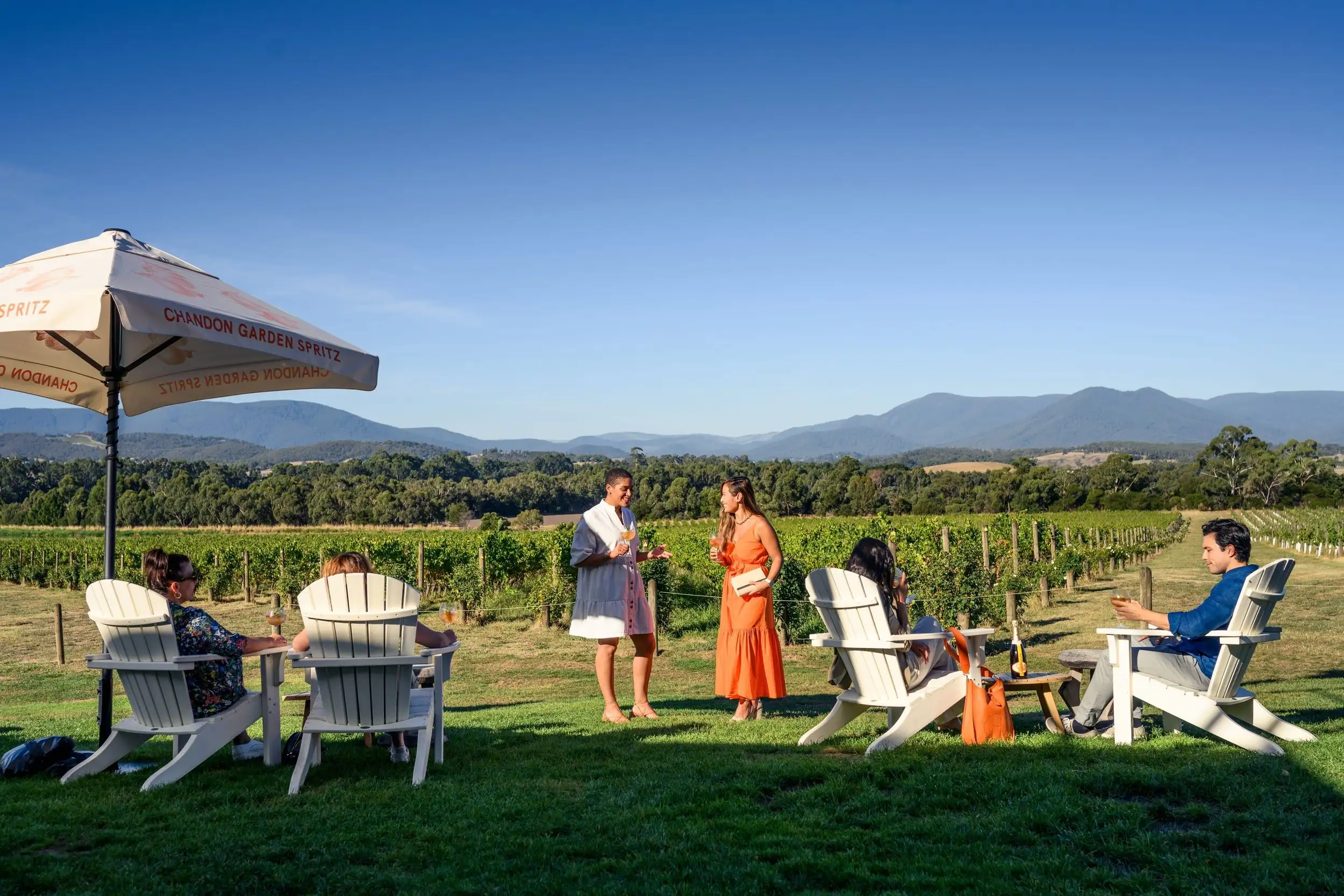 Ultimate Winery Experiences