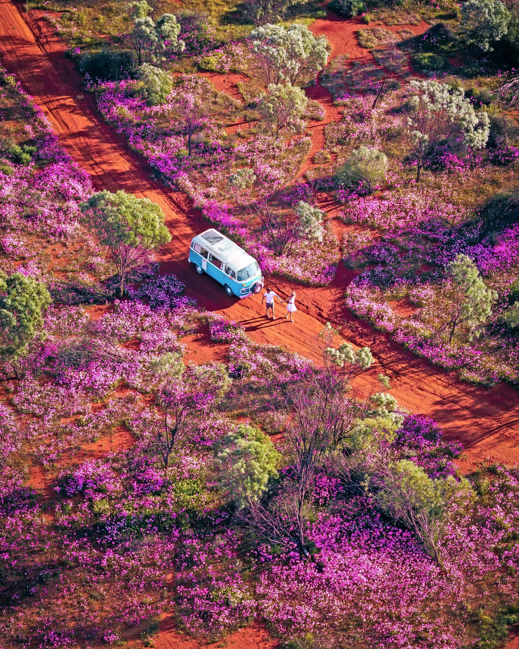 Western Australia
