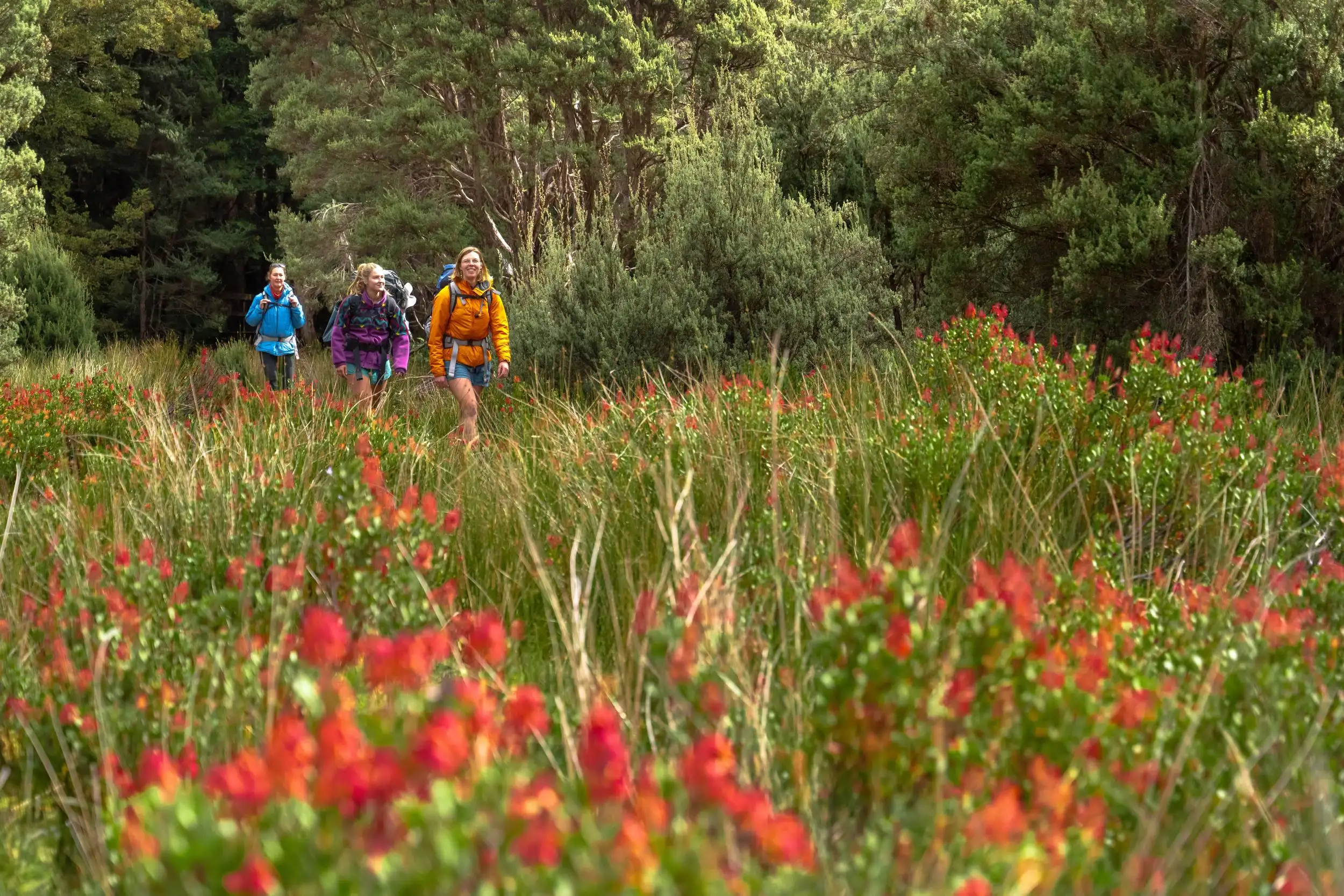 Great Walks of Australia