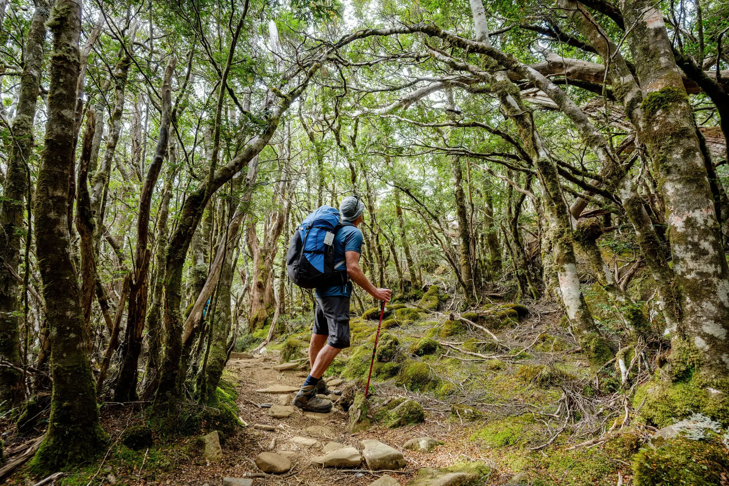 Tasmania