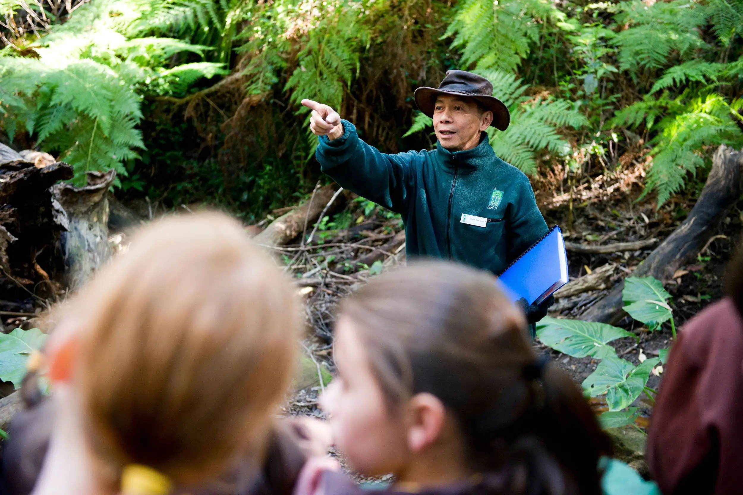 Forest Learning