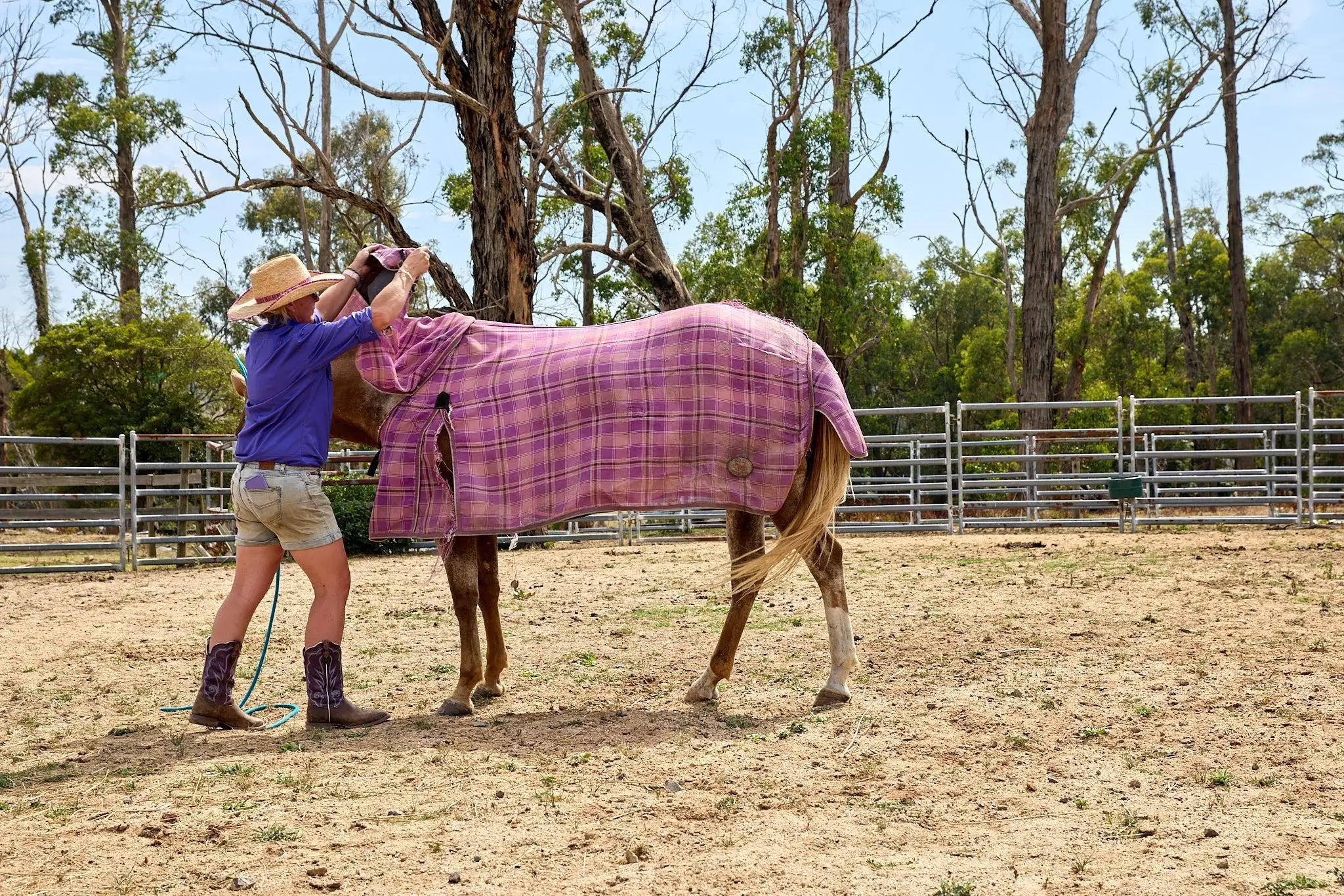 Horses： Preparing for fire