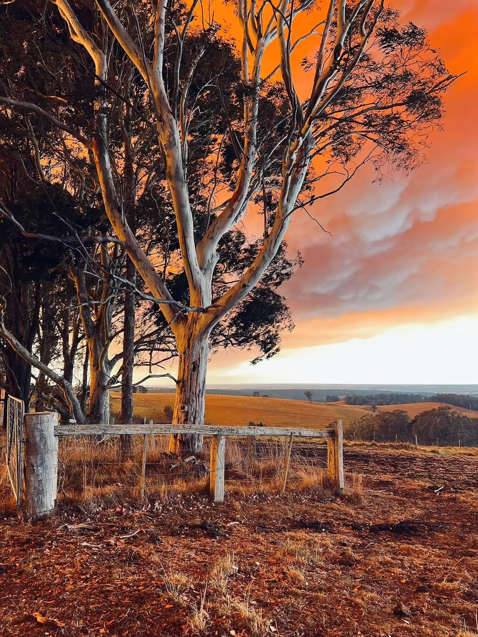 2023 East Gipplands Fires