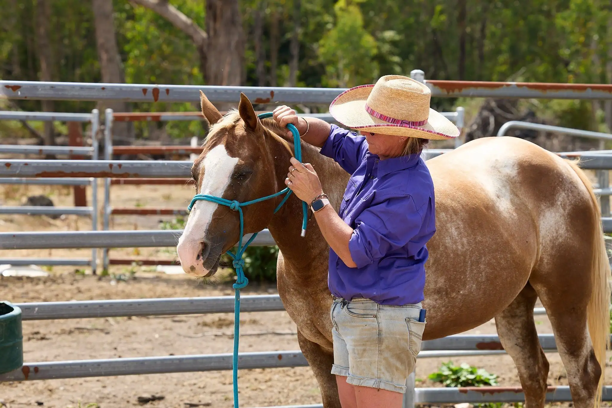 Horses： Preparing for fire
