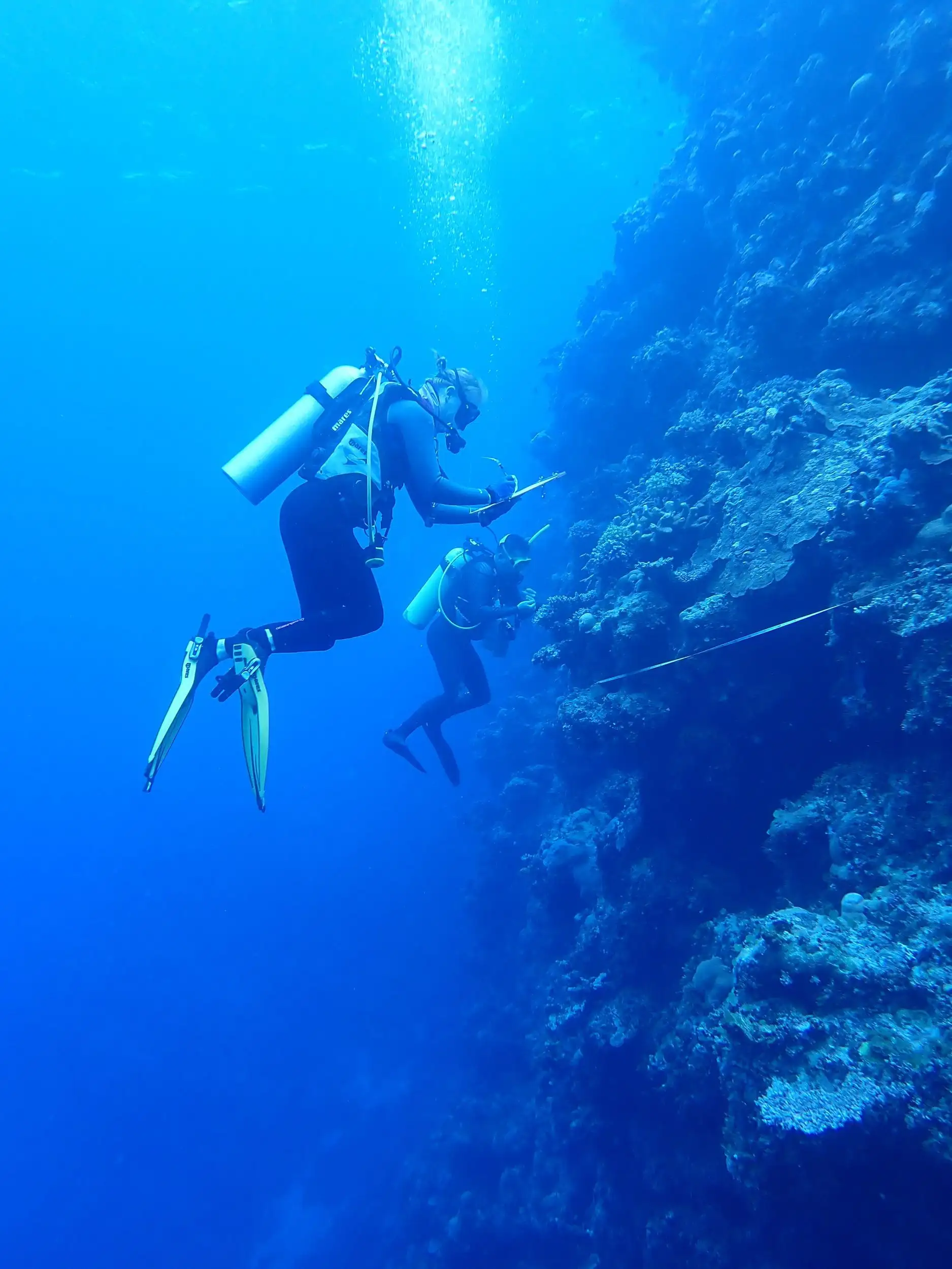 Coral Sea Marine Park 