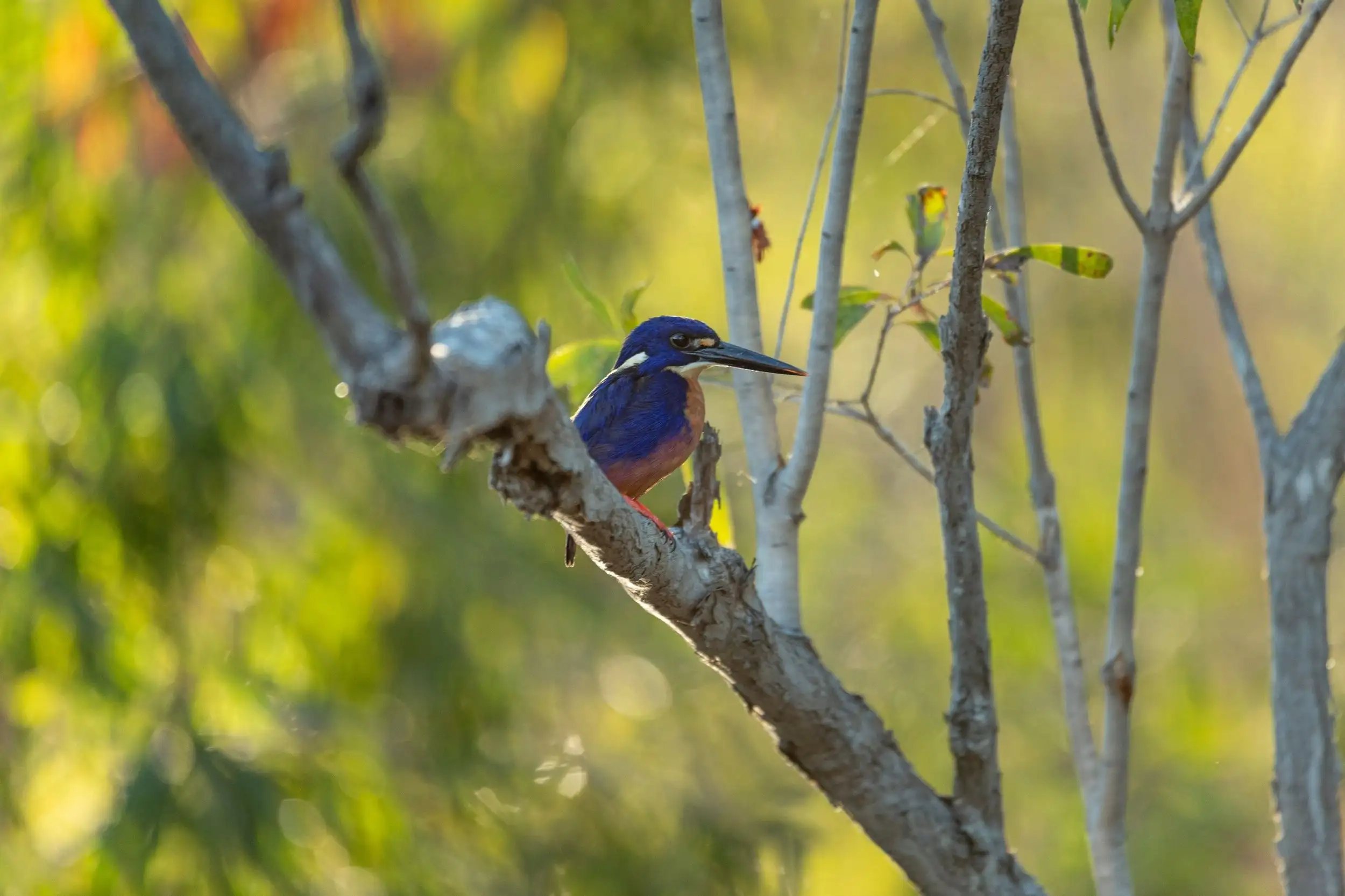 Kakadu National Park 