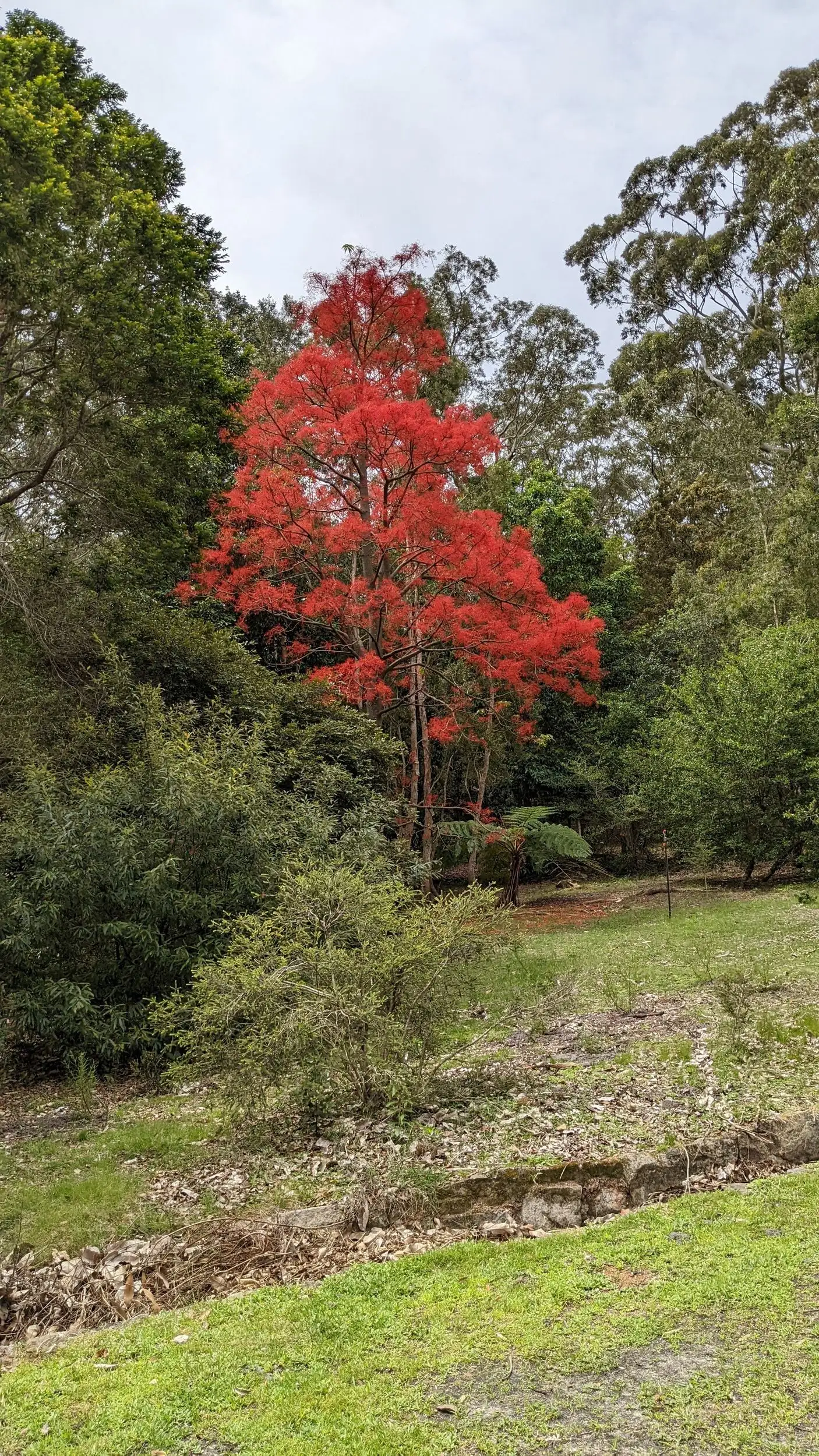 Booderee National Park